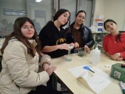20250227practicasfyq2eso2